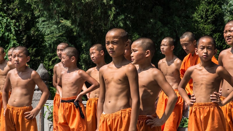 Kung Fu Techniques